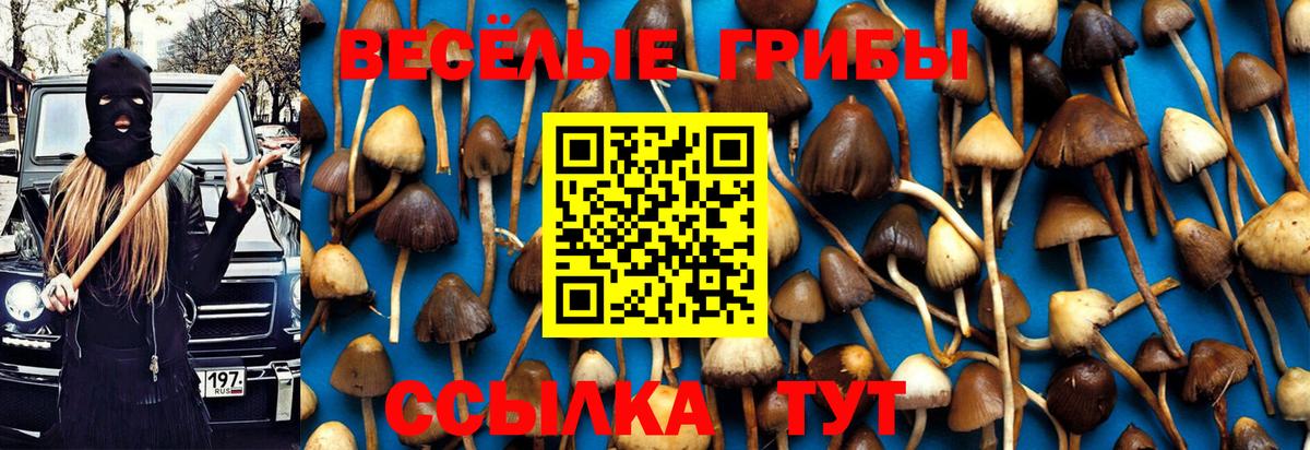 Галлюциногенные грибы MAGIC MUSHROOMS Усолье-Сибирское